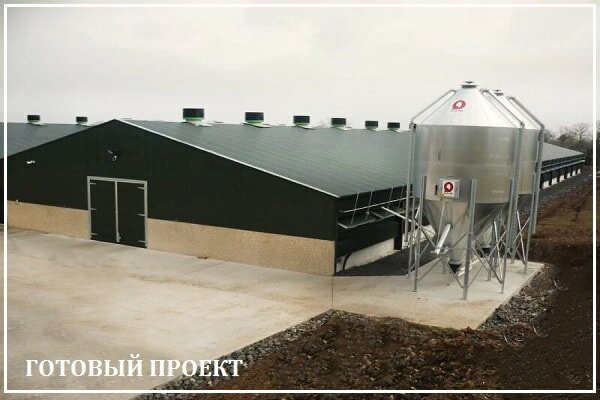 Этапы возведения птицефабрики от завода ВелесТент-рсс